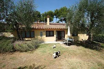 Il Poderaccio فندق *