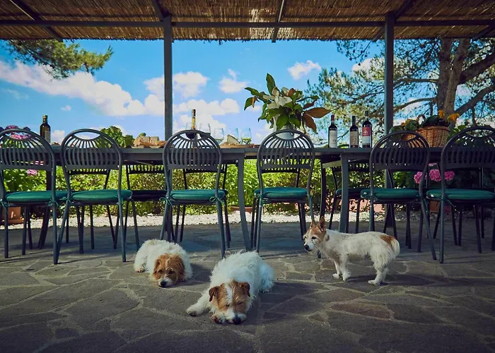 Hotel Il Poderaccio *