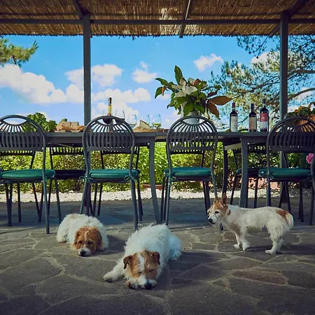 Szálloda Il Poderaccio *