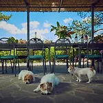 Hotel Il Poderaccio *
